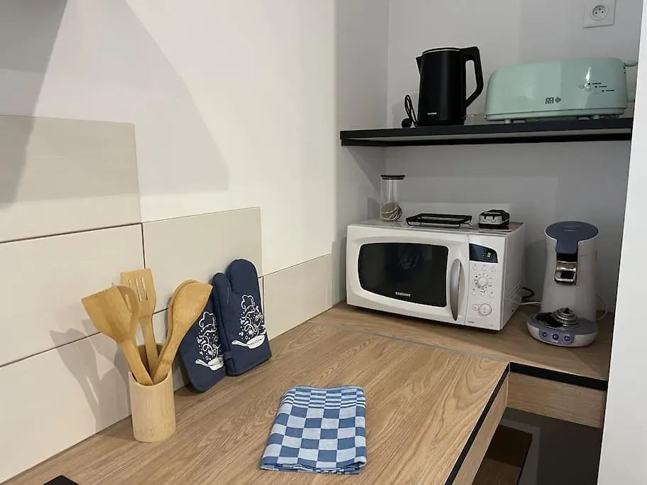 Le Bleuet Apartment Montrejeau
