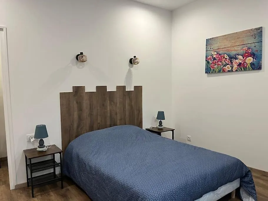 Le Bleuet Apartment Montrejeau